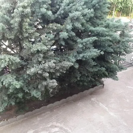 Casa Vienna Эфорие Норд